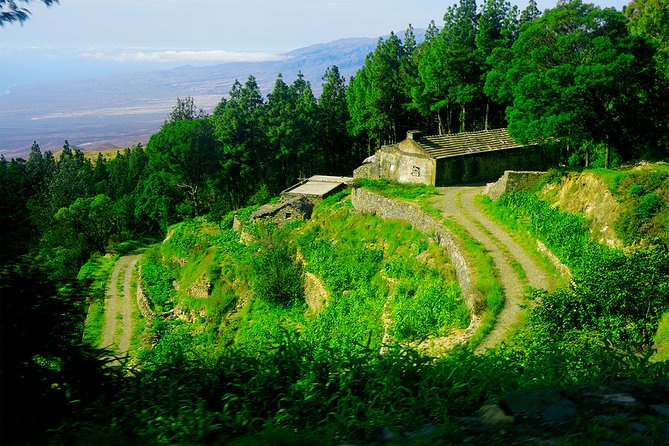 Santo Antão: Full-Day Island Tour & Visit to Cova De Paúl Volcano Crater - Tour Options Available