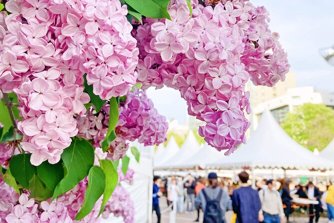 Sapporo City Tour and Seasonal Events in Odori Park Exploration - Meeting Point and Guide Identification