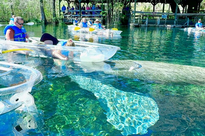 Sassy's Silver Springs Kayak and Paddleboard Tours - Tour Details and Inclusions