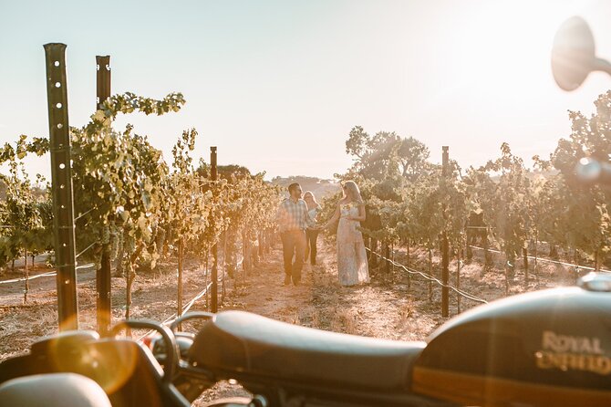 Scenic Sidecar Vineyard Tour Paso Robles - The Sidecar Experience: A Unique Perspective