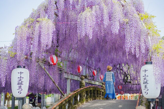 Scenic Tour of Kuroki and Nakayama Wisteria in Fukuoka YokaBus - Inclusions
