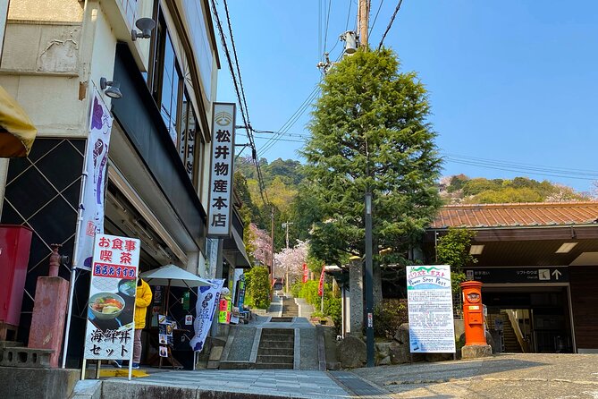 Scenic View of Amanohashidate and Ine Village From Osaka - Accessibility and Restrictions