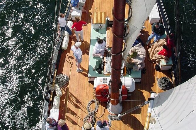 Schooner Appledore Day Sail With Full Bar in Key West - 100% Recommendation and Stellar Reviews