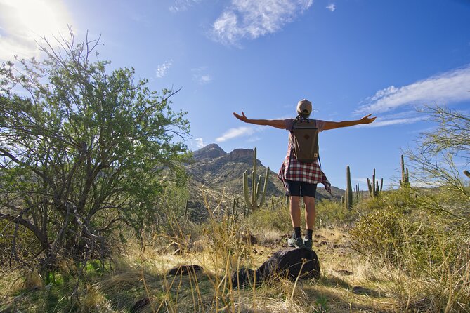 Scottsdale Desert Classic Guided Hiking Adventure - Meeting Point and Logistics
