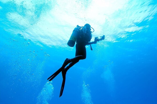 Scuba Diving Adventure in Alanya With Lunch & Hotel Transfer - Meal Inclusions and Extras