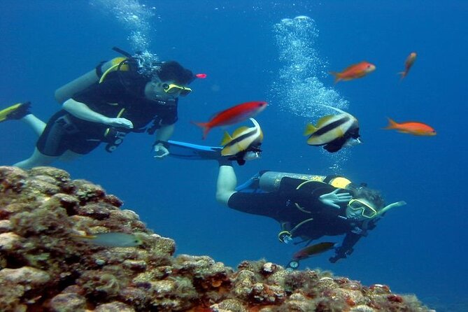 Scuba Diving for Beginners W/ Lunch & Transfer - Sharm El Sheikh - Diving Experience Highlights