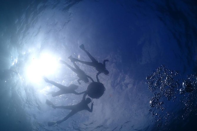 Scuba Diving & Snorkeling - Meeting Point and Pickup Options