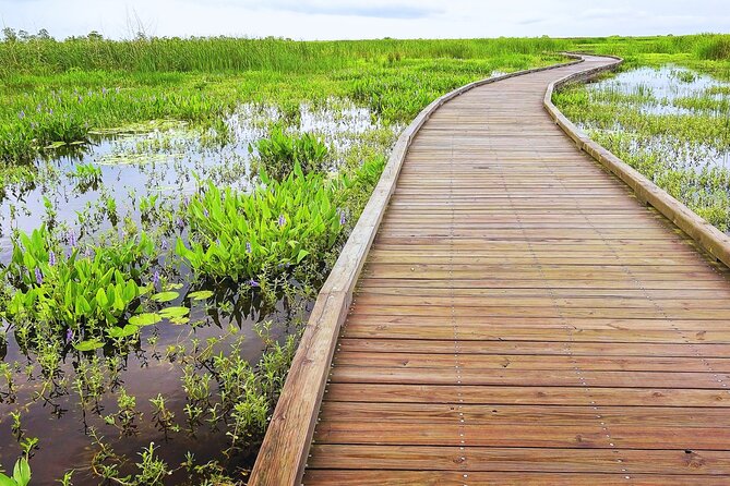 Self-Guided Audio Driving Tour in Creole Nature Trail - Key Features
