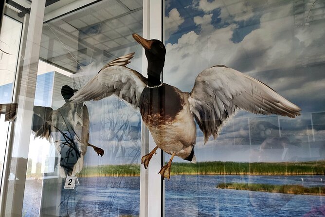 Self-Guided Birdwatching in Srebarna Reserve - Preparing for the Self-Guided Tour