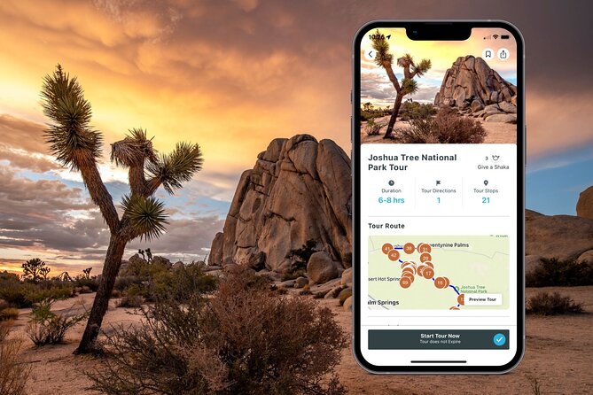 Self Guided Joshua Tree Tour Review - Accessibility and Support