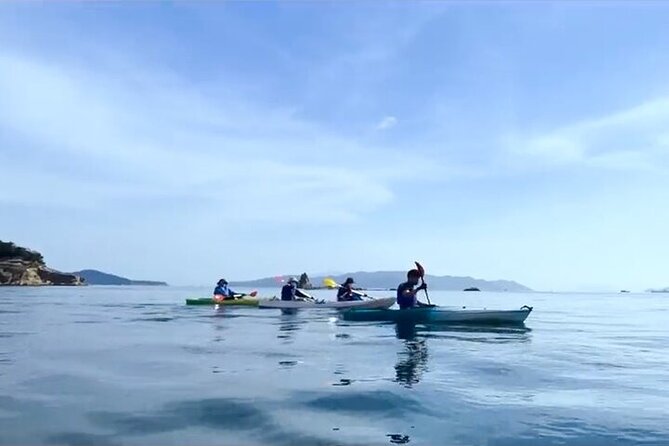 Setouchi Sea Kayak Private Adventure and Hidden Islands - Taking in the Scenic Surroundings