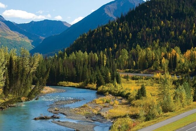 Seward to Anchorage Wildlife Adventure - Meeting Point and Transportation