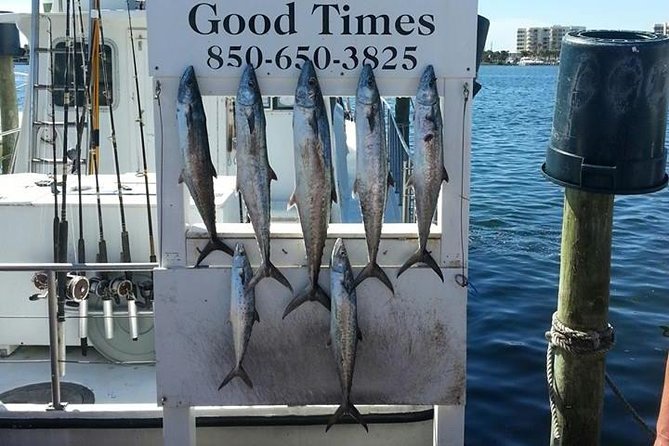 Shared Deep Sea Fishing Trip - Pricing and Inclusions