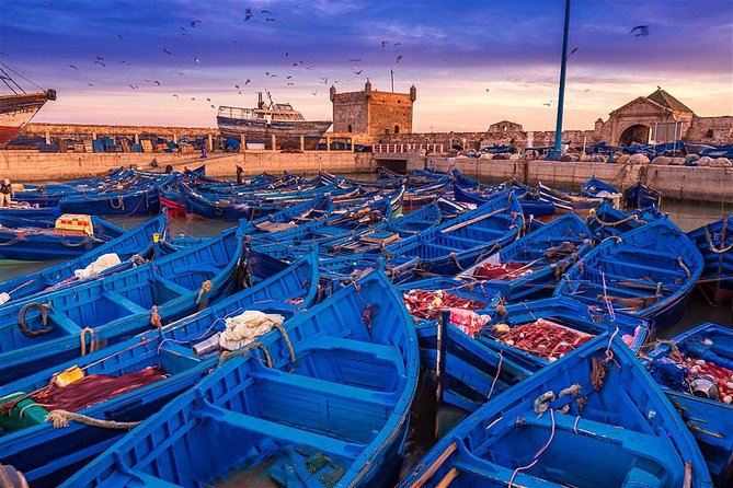Shared Group Day Trip From Marrakech to Essaouira Mogador - Transportation Arrangements