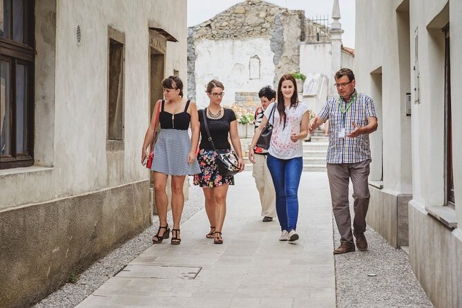 Shared or Small Group Wine Tasting Experience in Slovenia - Pairing Exquisite Wines With Snacks