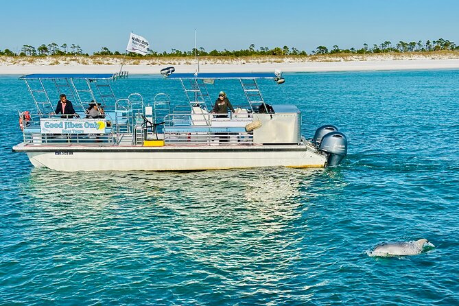 Shell Island Dolphin Sightseeing Boat Tour - Tour Experience and Highlights