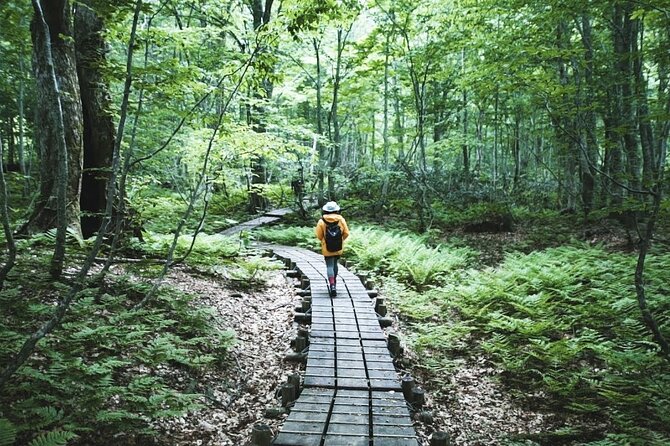 Shirakami Sanchi Day Hike With Government-Licensed Guide - Hiking Trail Options