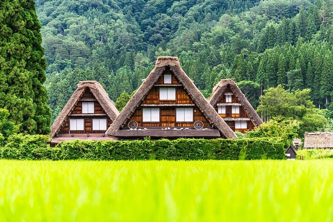 Shirakawago and Hida Takayama Day Trip From Nagoya - Lunch With Local Cuisine