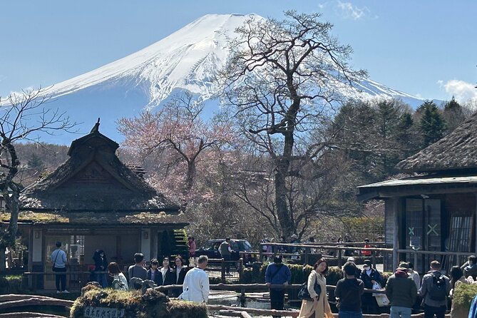 Shuttle Van Tour Mt.Fuji From Tokyo and Yokohama - Pickup and Drop-off Information