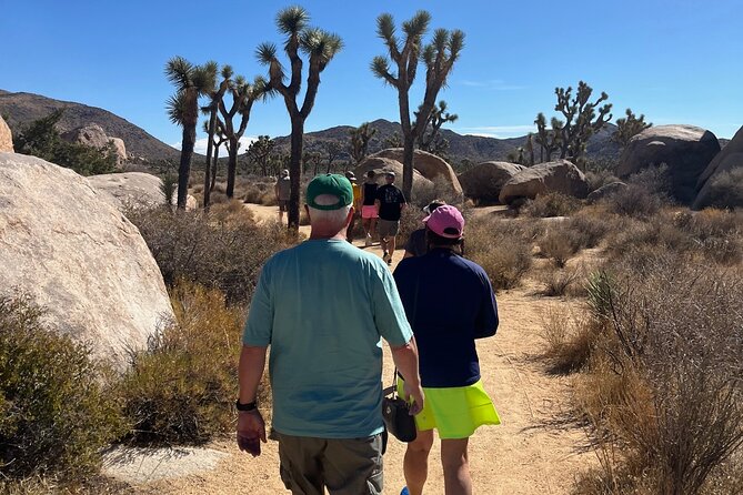 Sightseeing Adventure Tour of Joshua Tree National Park - Guided Hikes Through Captivating Trails