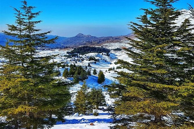 Sightseeing All-Inclusive Private Tour to Qadisha Valley, Bcharre and Cedars - Inclusions and Amenities
