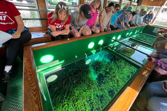 Silver Springs Glass-bottom Boat Tour Review - Booking and Itinerary Adjustments
