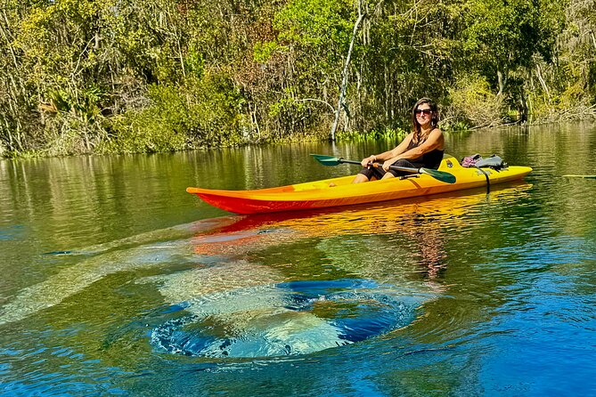 Silver Springs Premium Florida Manatee & Wildlife Experience - Meeting and End Points