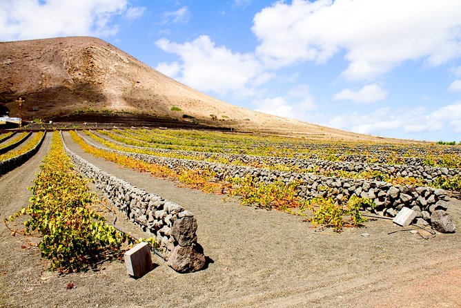 Sip Your Way Around Santorini Private Wine Tour - Winemaking History