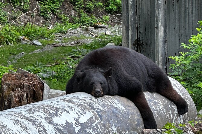 Sitka's Favorite Sites Tour Review - Meeting and Pickup Details