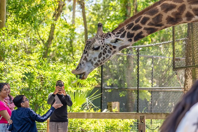 Skip The Line Central Florida Zoo Review - Operating Hours