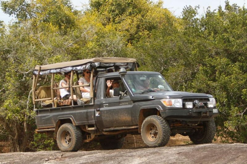 SL : 2 Nights Luxury Wild Experience in Leopard Nest Yala - Accommodation and Meals