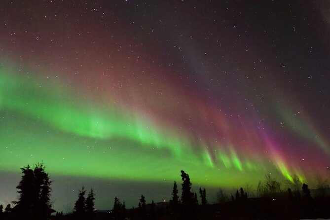 Small Group Aurora Viewing Tour With Free Photography - Inclusions