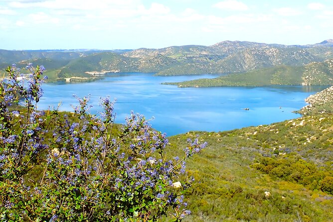 Small Group Hike Through San Diegos Heart and Soul - Preparing for Your Hiking Adventure