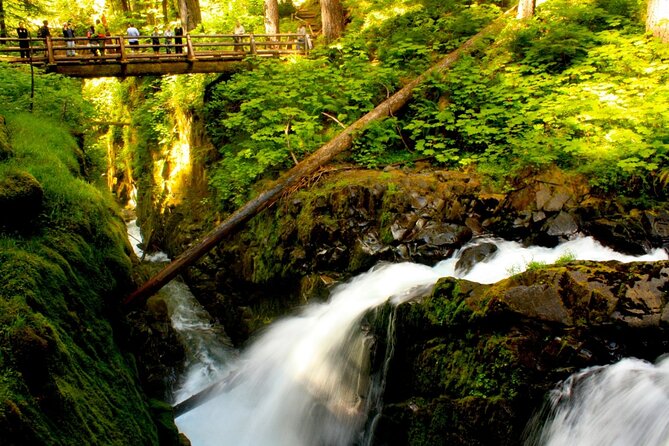 Small Group Olympic National Park Day Tour From Seattle 2CANGO - Inclusions and Services