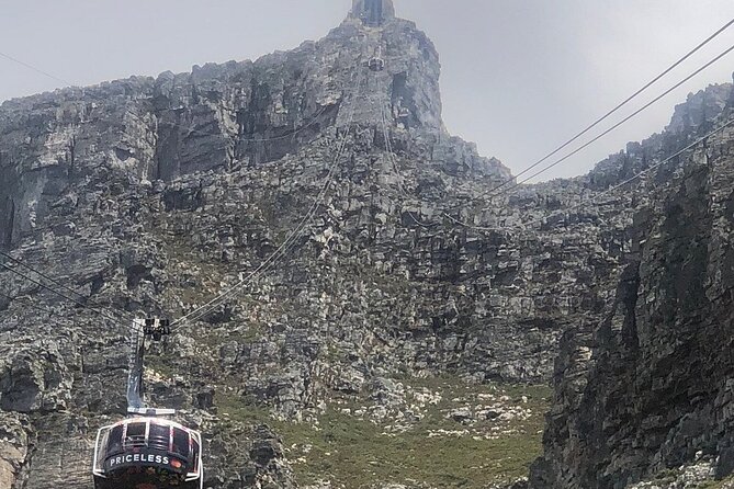 Small Group Table Mountain Penguin Colony and Cape Point Tour - Meeting and Pickup Details