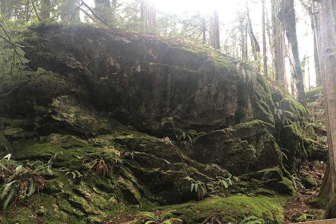 Snoqualmie Falls and Twin Falls Hike - Guide and Educational Component