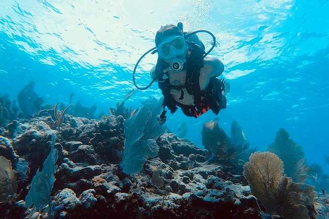 Snorkel Tour - Visit 2 Shallow Reefs John Pennekamp State Park - Meeting and Logistics