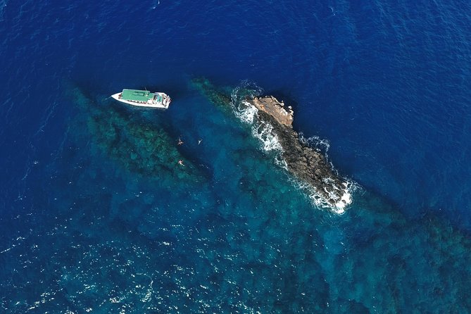 Snorkel Vessel Review: Private 3-Hour Adventure - Onboard Amenities and Rentals