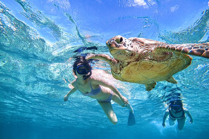 Snorkeling Activity in Okinawa Miyako Japan - Meeting and Pickup Details