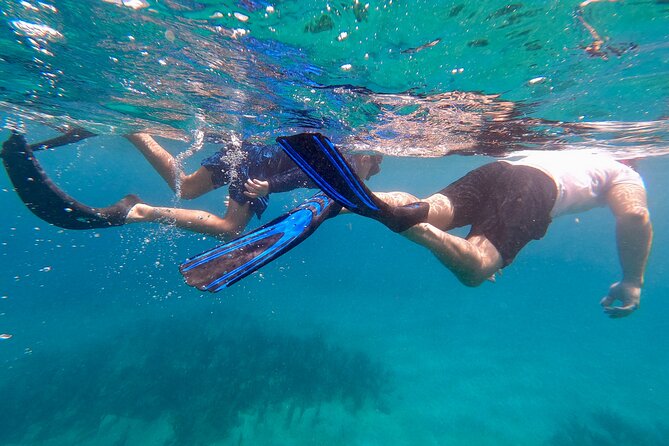 Snorkeling Aguadilla for Families With Children - Whats Included in the Tour