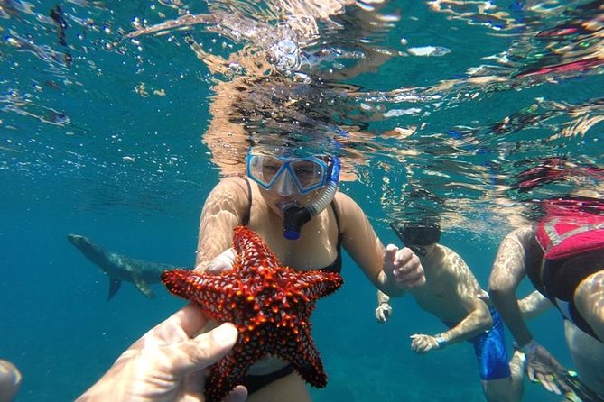 Snorkeling Discovery Sailing in Los Cabos - Included Amenities and Services
