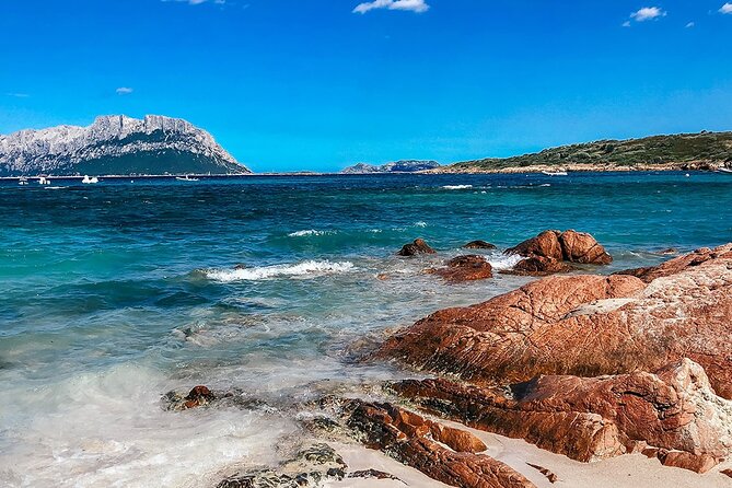 Snorkeling in Alghero With Capo Caccia Cliffs Tour - Meeting and Pickup Details