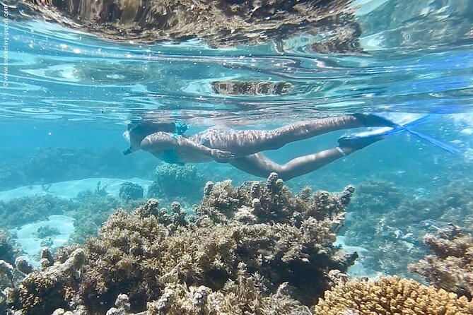 Snorkeling Paddle Private Catamaran 1/2 Day Turks and Caicos Islands - Onboard Amenities and Experiences