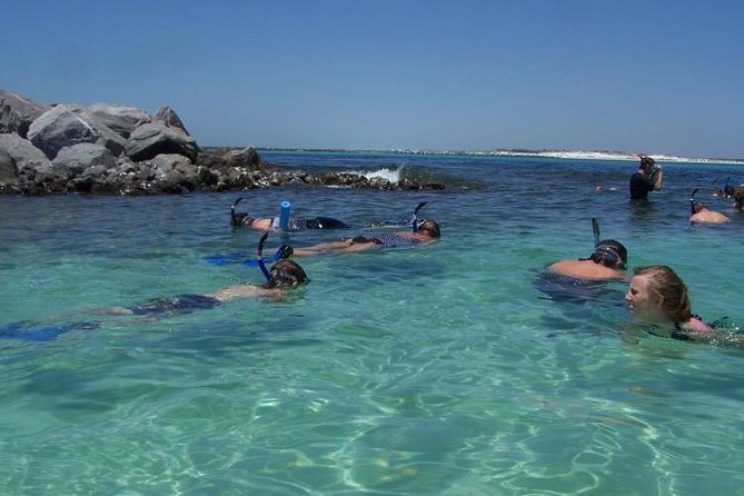 Snorkeling, Shelling & Eco Excursion - Group Size and Experience