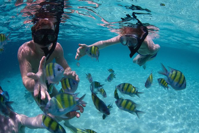 Snorkeling Tour at Lands End in Cabo San Lucas - Pricing and Inclusions