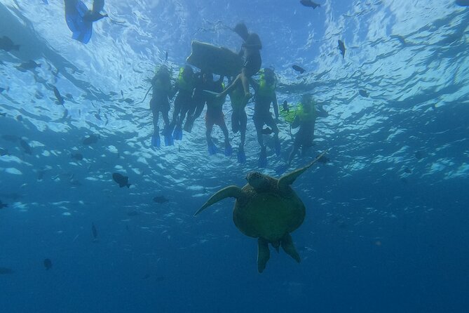 Snorkeling With Turtle/Water Scooter/Paddleboard Adventures Oahu - Highlights of the Snorkeling Experience