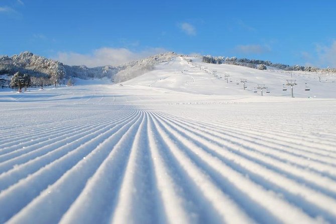 Snow Activities in Takayama Skiing / Snow Bording / Snowshoeing / Etc... - Meeting Point and Transportation
