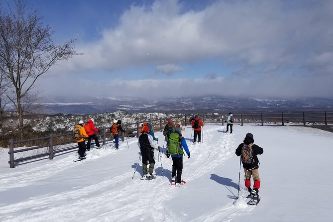 -Snow Mountain Hiking at the Foot of Asama- Karuizawa Snowshoe Tour - Meeting and Pickup