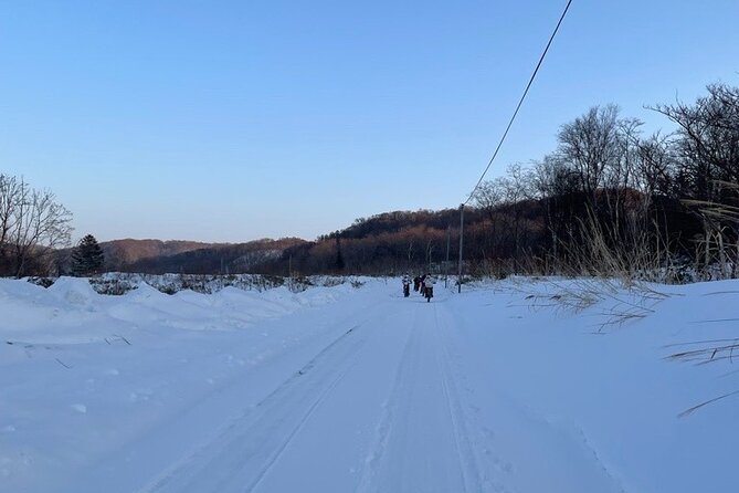 Snow on FAT BIKE - Guided Private Tour in Shinshinotsu - Fat Bike Basics: Gearing up for the Adventure