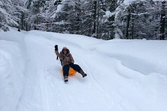 Snowshoe Tour on Schliersee With Zipflbob Ride - Meeting Point and Logistics